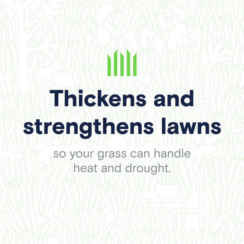 instead™ Tall Fescue Fall Bundle image number null